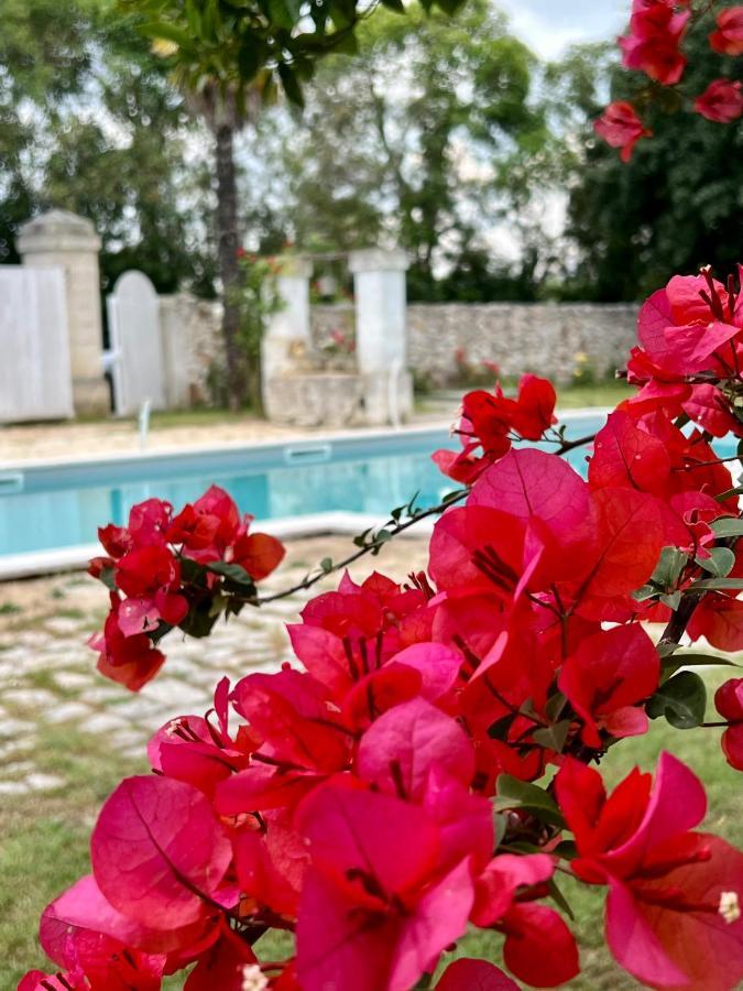 Apartment Encantamiento - Dimora Gelsomino - Masseria Storica Nel Cuore Della Puglia Con Piscina